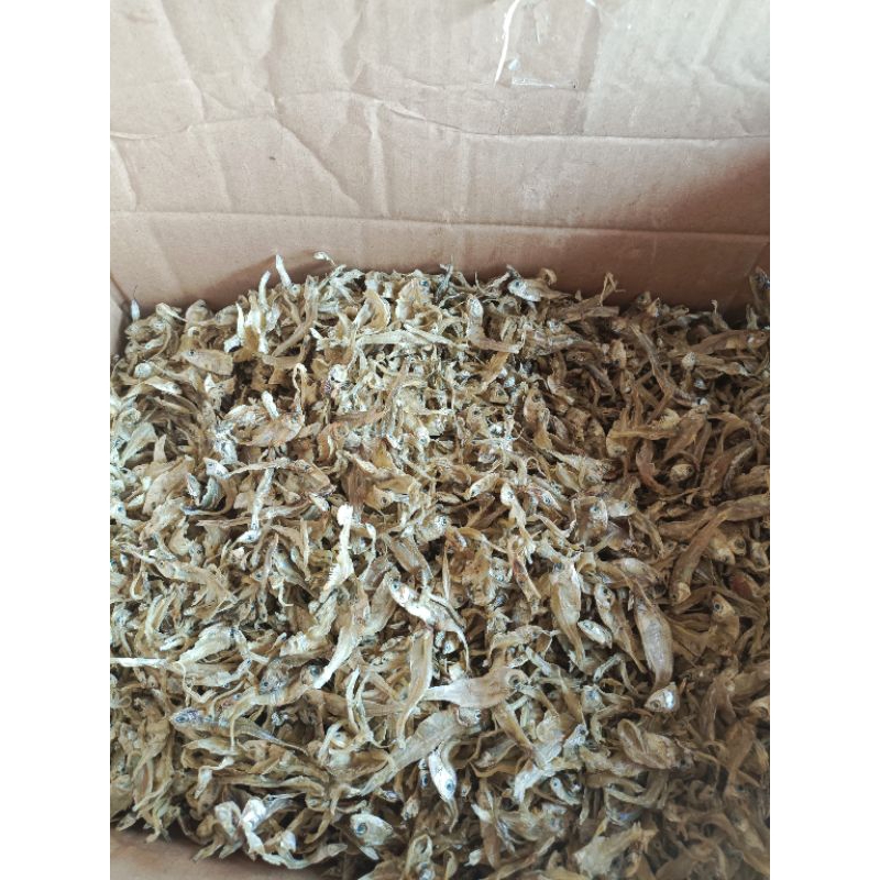 

IKAN TERI BUNGA/TAWAR