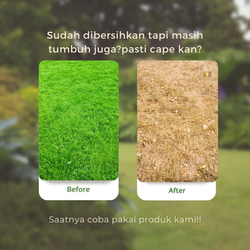 PEMBASMI RUMPUT LIAR,ILALANG  SAMPAI AKAR AKARNYA SIAP PAKAI KEMASAN 1 LITER