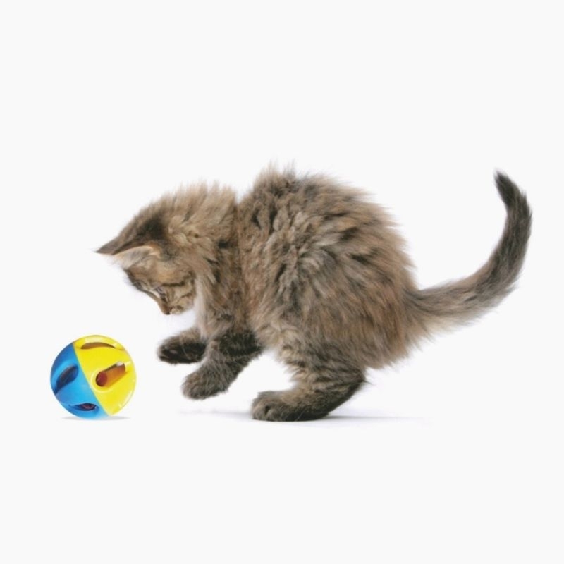 Mainan Kucing Anjing Bola Kerincing Besar