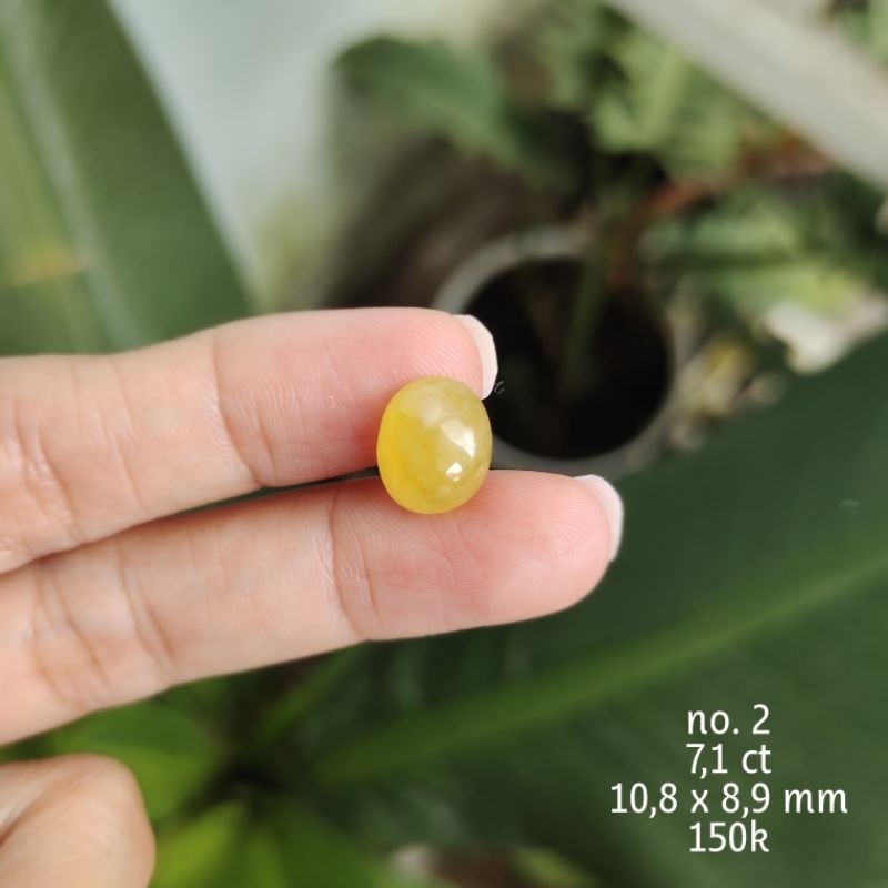 Batu Permata Yakut Cutting Oval Polos C - Natural Yellow Sapphire Cabochon