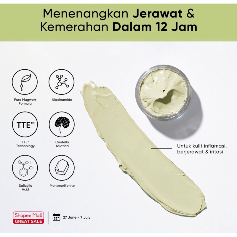 SKINTIFIC MUGWORT ANTI PORES &amp; ACNE CLAY MASK
