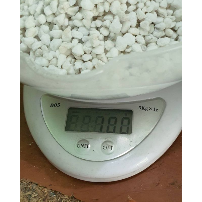 MEDIA TANAM PERLITE 2-4 MM 100 GRAM REPACKED