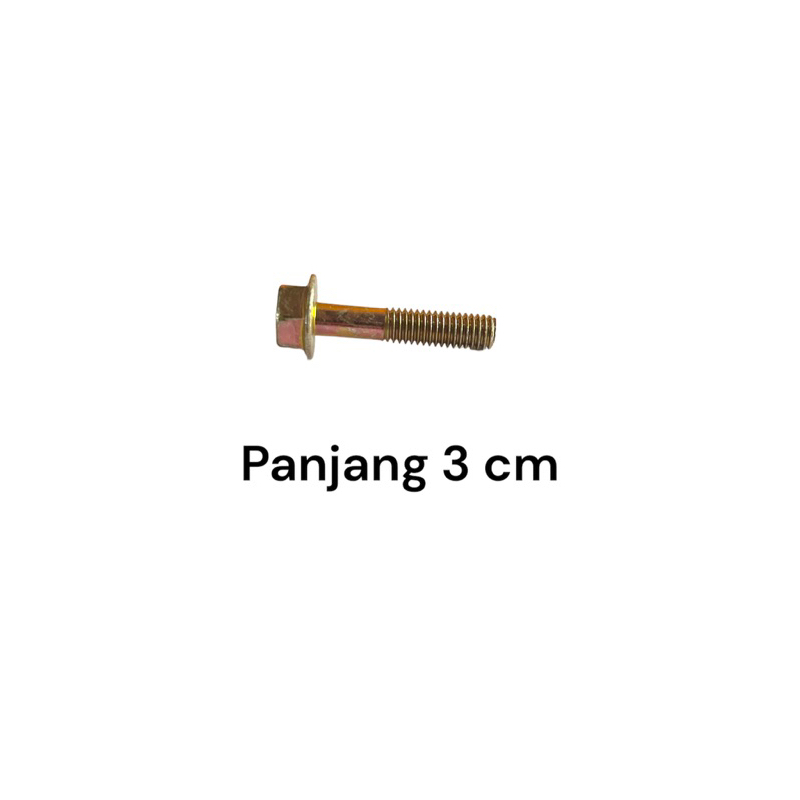 BAUT FLANGE KUNCI 10 PANJANG 3 CM