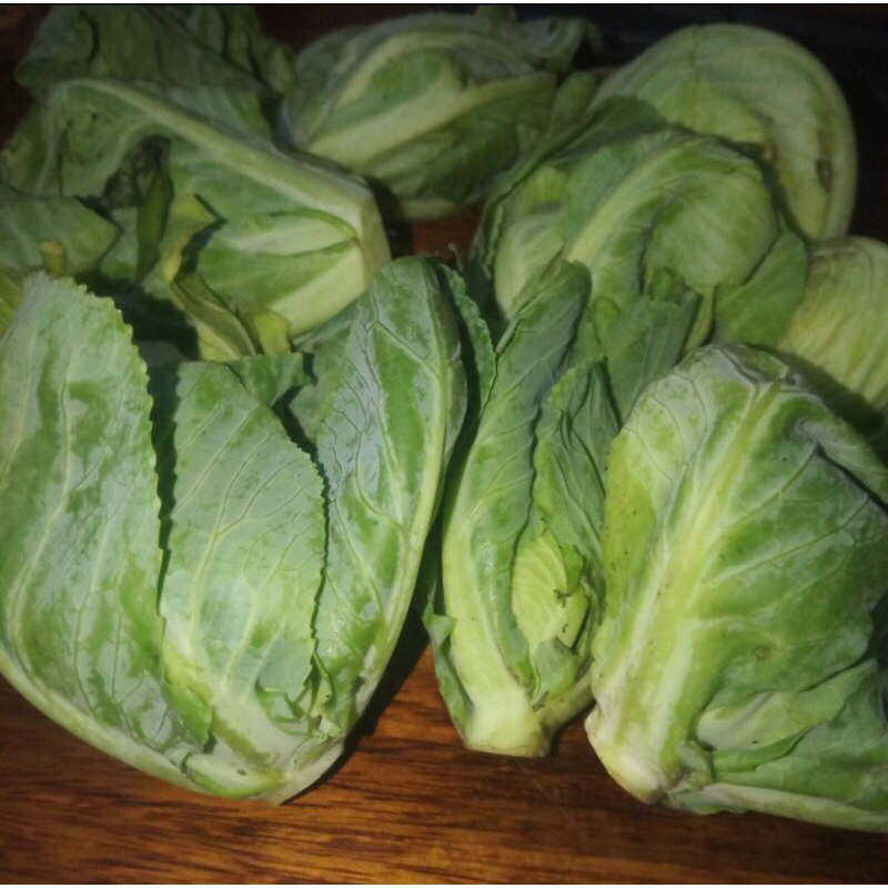 

Daun Cuciwis 250Gram