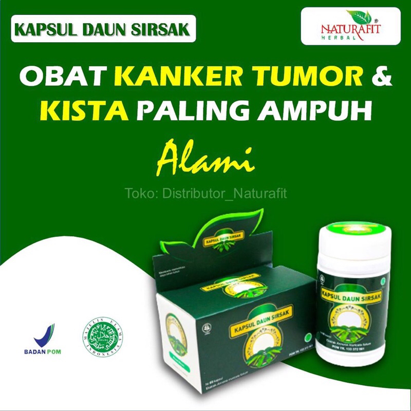 Obat Kanker Tumor Herbal Serviks Rahim Payudara Ganas Miss V Kewanitaan Vagina Hati Obat Benjolan Pa