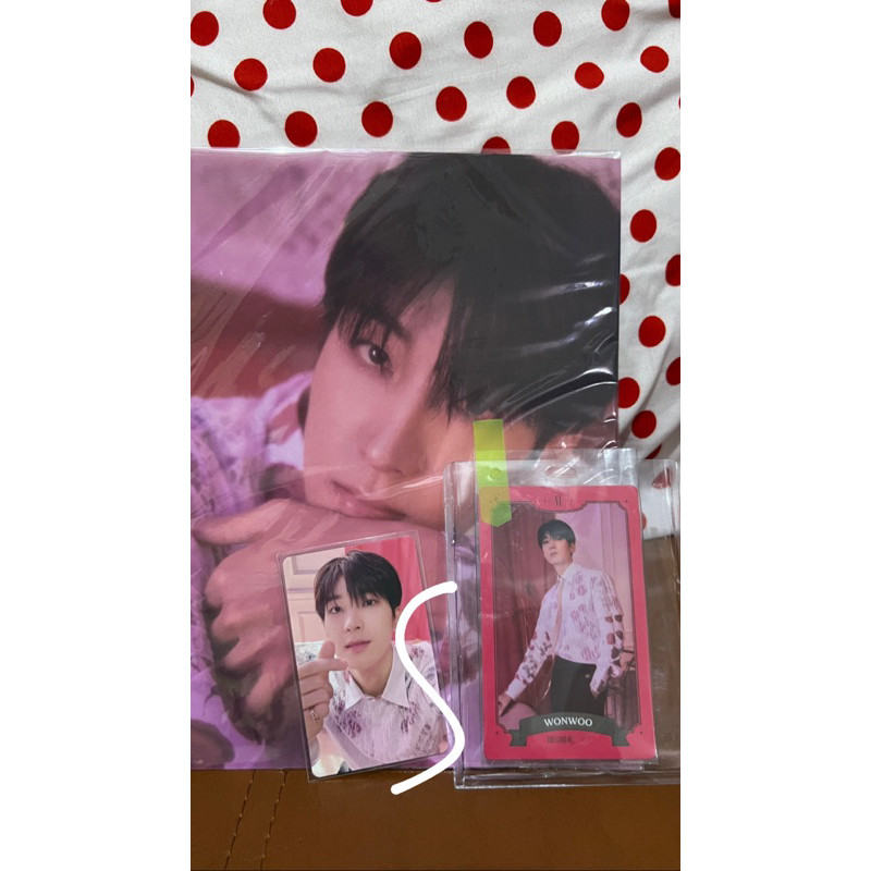 Wonwoo SG23 Set