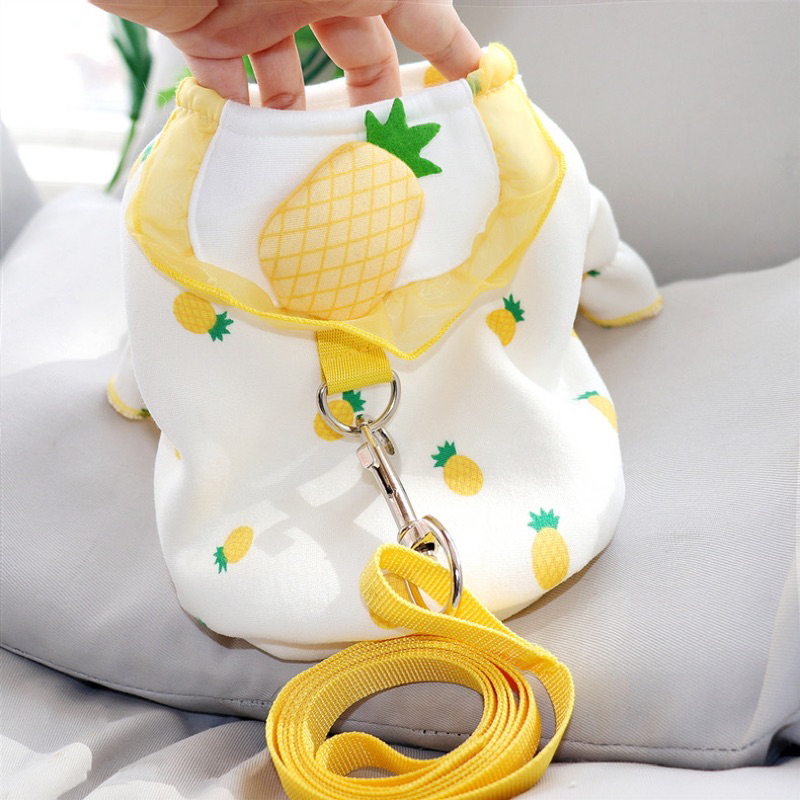 Mallory korea fruit harness set with leash