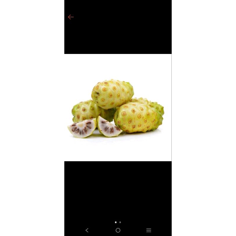 

buah mengkudu \ pace 15.000/1kg