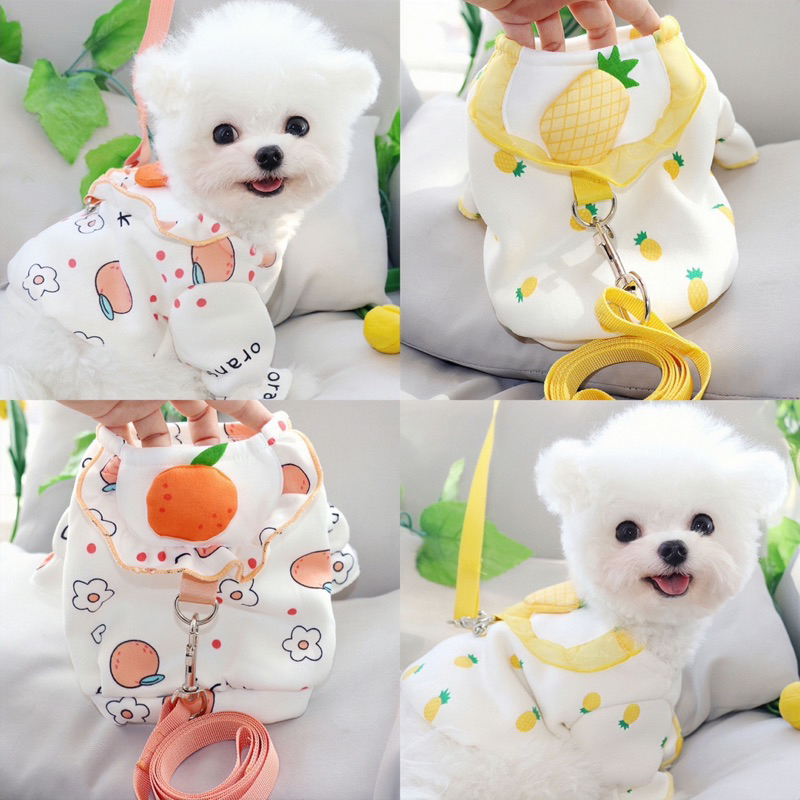 Mallory korea fruit harness set with leash