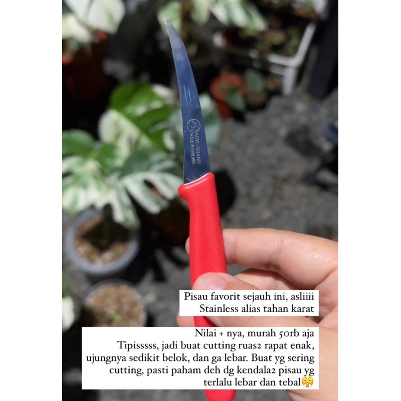 

pisau cutting tipis