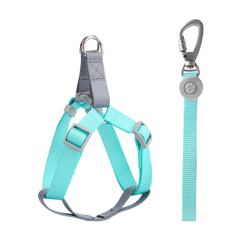 Kiyopet korea pastel H harness set