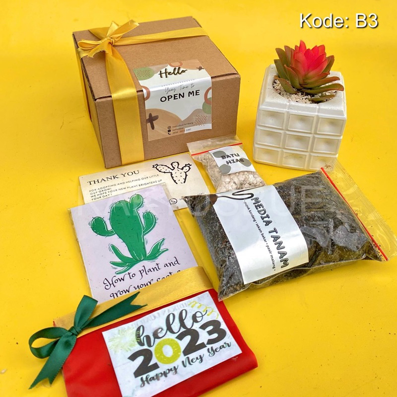Hampers Sukulen Kaktus concrete 1pcs + Tatakan Pot (Kaktus & Sukulen Tanaman Hias Hidup) (Mini box h