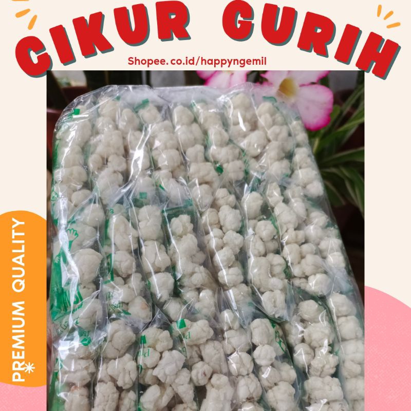 

Pilus Cikur Kencur Super Gurih isi 25pcs