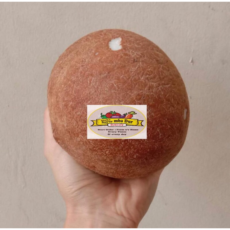 

Kelapa Parut Fresh / 1 Kelapa Di Parut Fresh