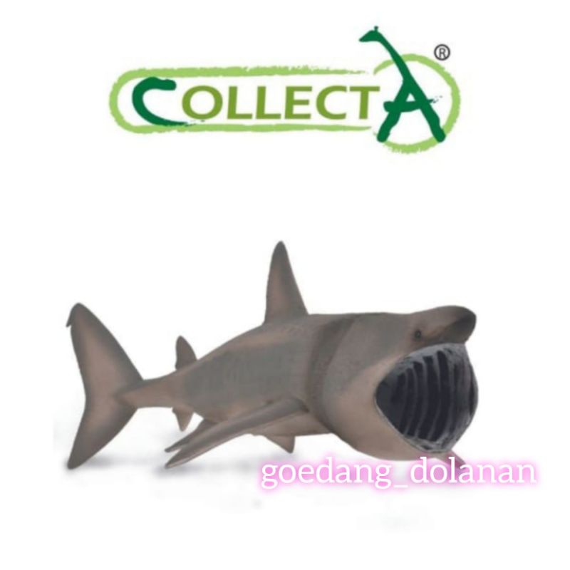 Collecta Figure Basking Shark 88914