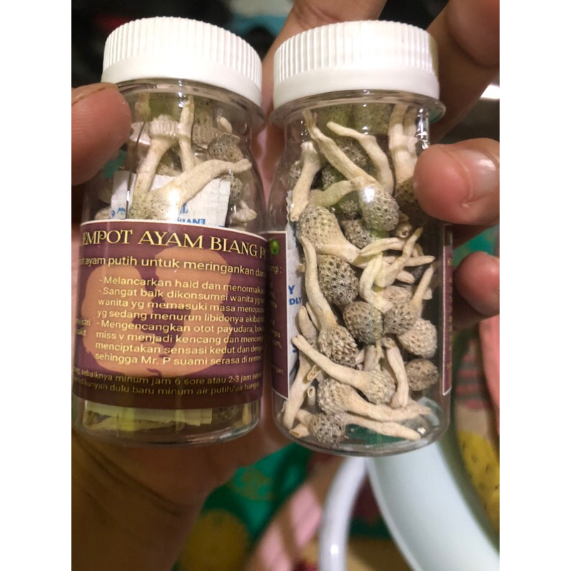 

Jamu Mpot Ayam Original