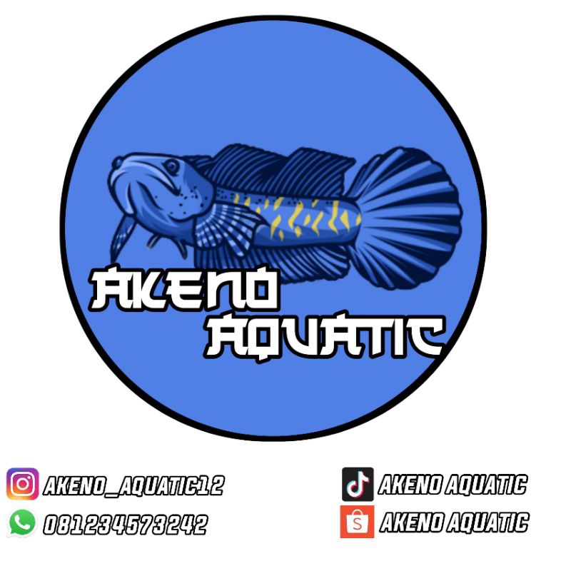 Asiatica RSWS Single tank 9-10cm bonus stiker