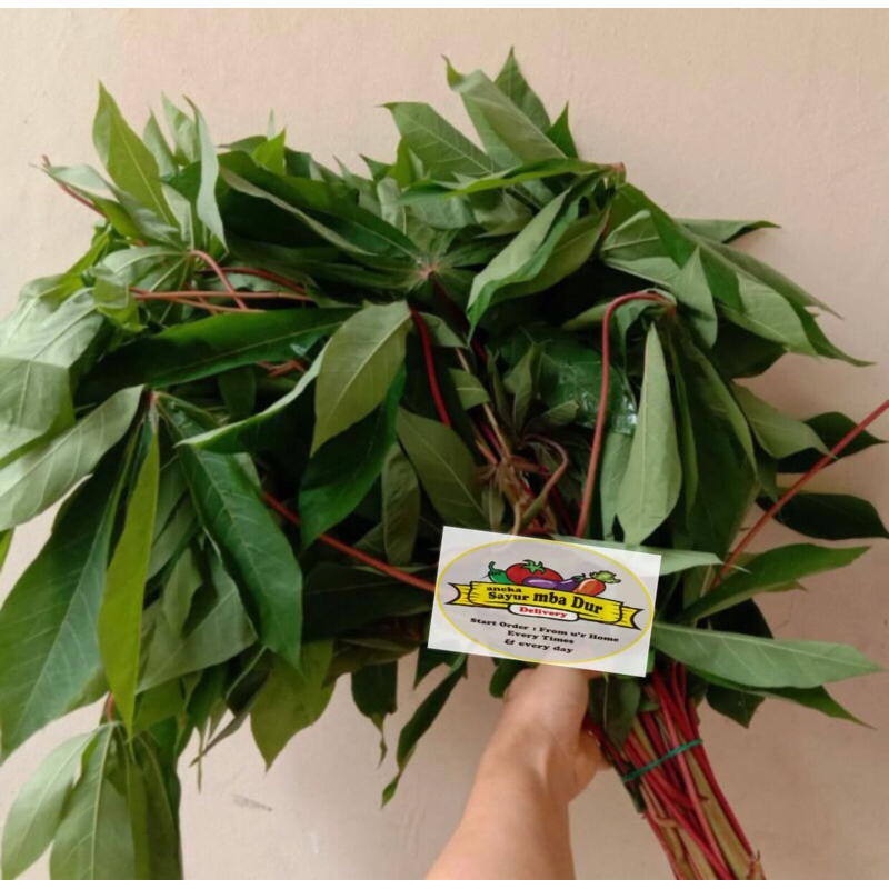 

Daun Singkong ~Per ikat