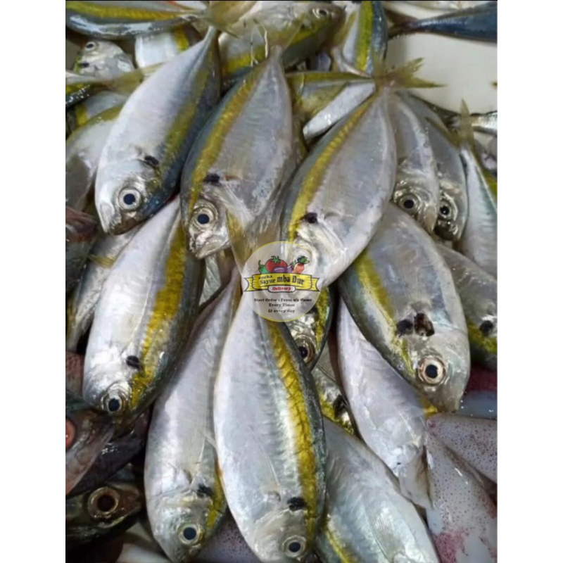 

Ikan Selar Kuning Segar 500Gram