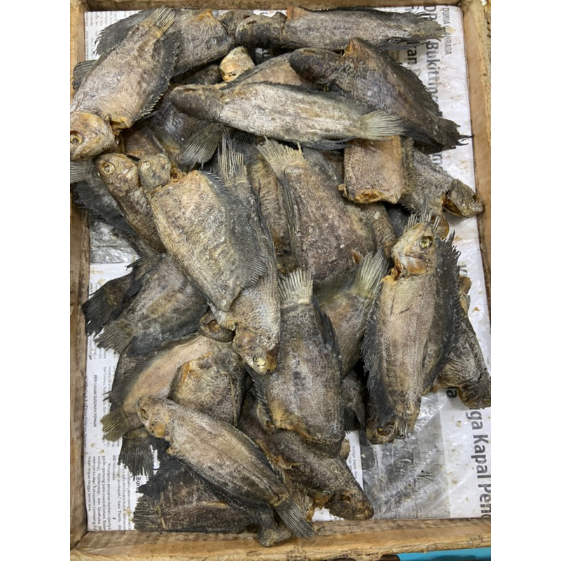 

Ikan Asin Sapek Siam
