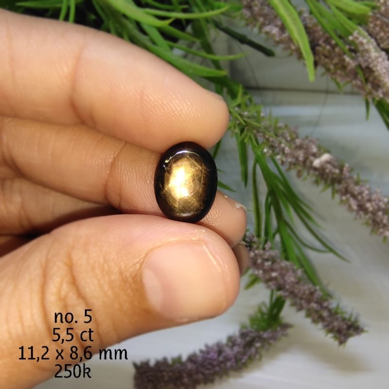 Batu Permata Natural Black Sapphire Star Oval (A) - Safir Hitam Asli