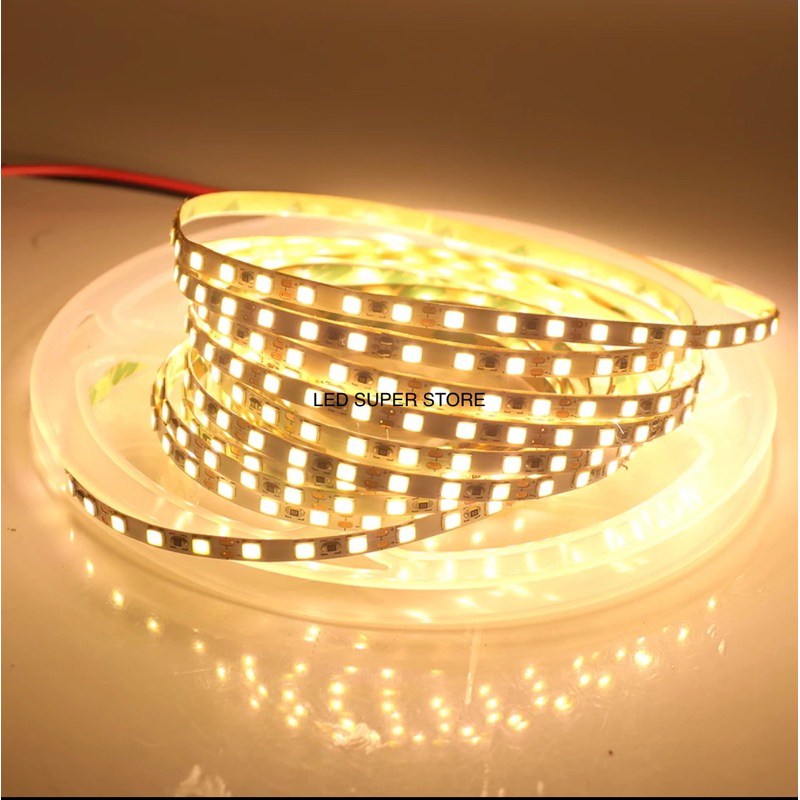 LED Flexible Strip 2835 600LED Superbright 12v Putih | Warmwhite | Icy White - 5 Meter