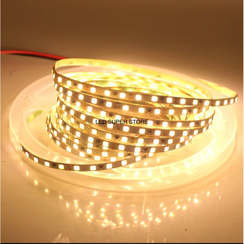 LED Flexible Strip 2835 600LED Superbright 12v Putih | Warmwhite | Icy White - 5 Meter