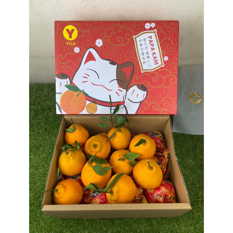 

Jeruk Dekopon Chuanjian Manis Yuji 4 kg / box