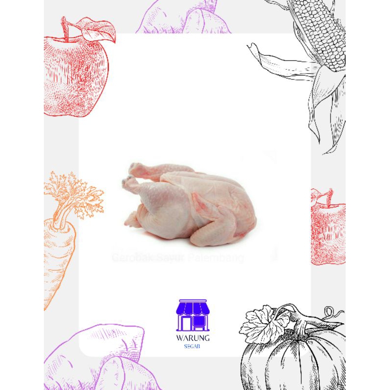 

AYAM BOILER SEGAR