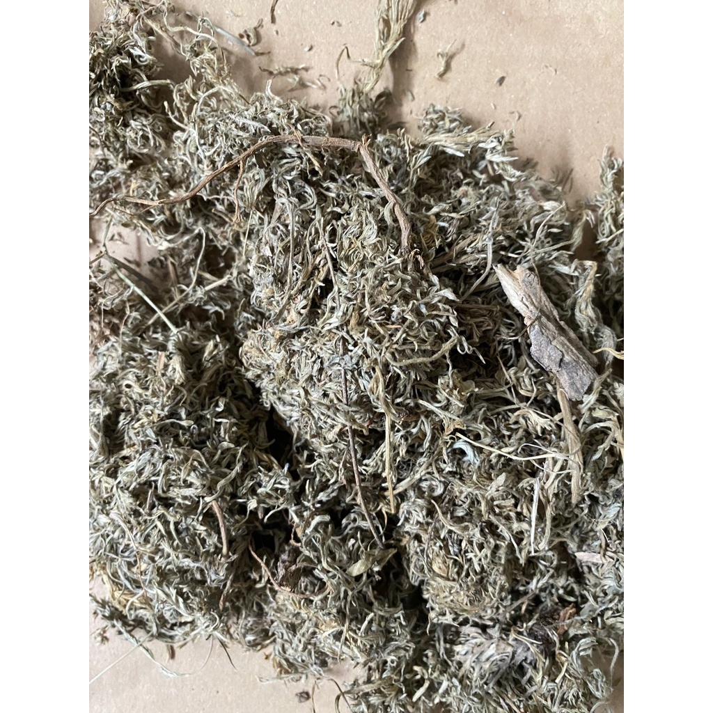

Mian Yin Chen / Oriental Wormwood / 绵茵陈 100 gram