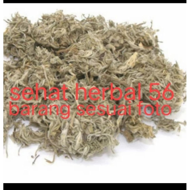 

50 gram mian Yin Chen Hao Artemisia wormwood