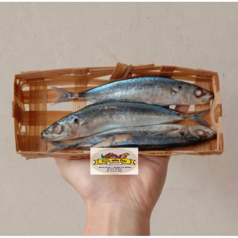 

Ikan Cue / Ikan Bandeng Presto / Ikan Tongkol Pindang