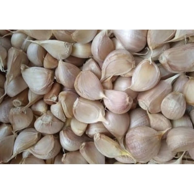 

Bawang Putih kating 250gr