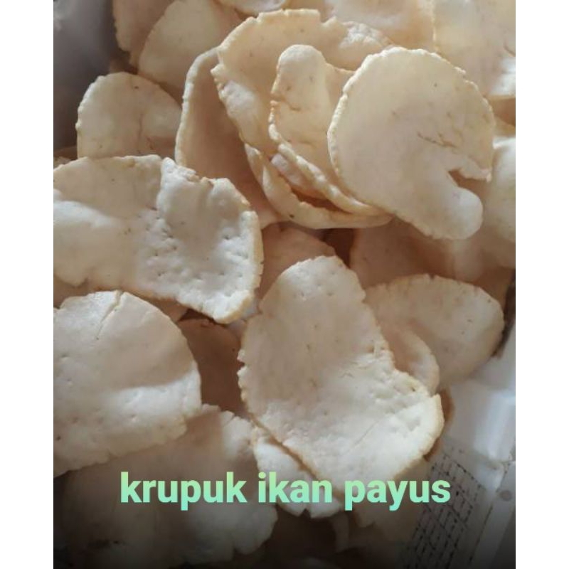 

Ikan Payus