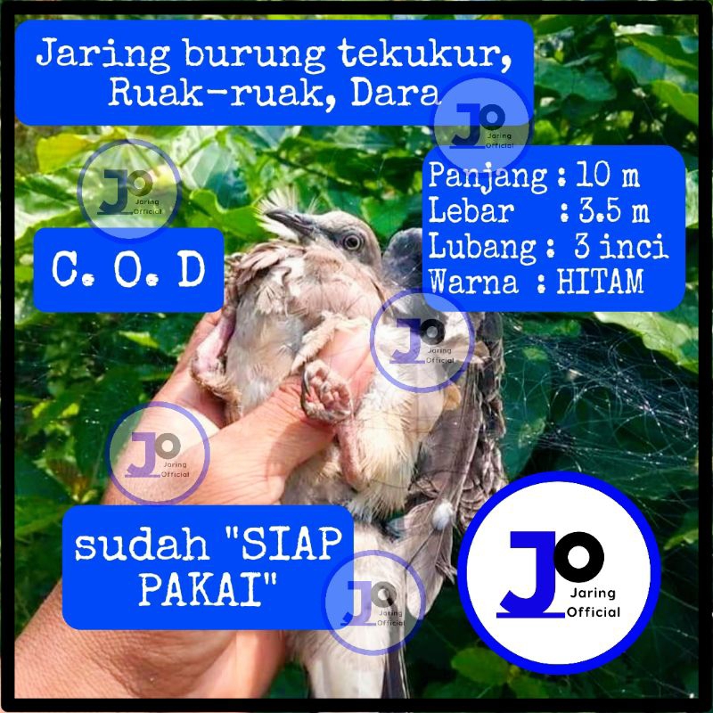 jaring burung 10 meter perangkap tekukur jaring burung tekukur jaring burung ruak-ruak burung ayam b