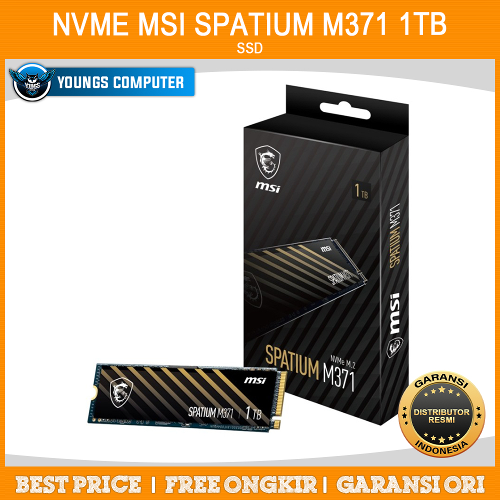 SSD NVME MSI SPATIUM M371 PCIe 3.0 | NVME M.2 1TB