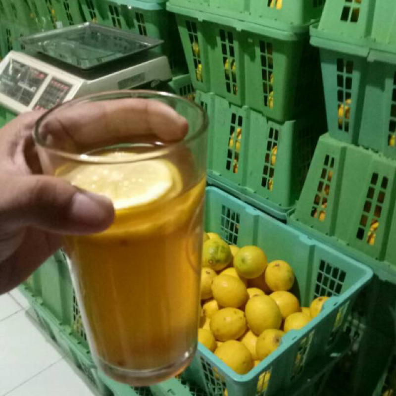 

Lemon California Khusus
