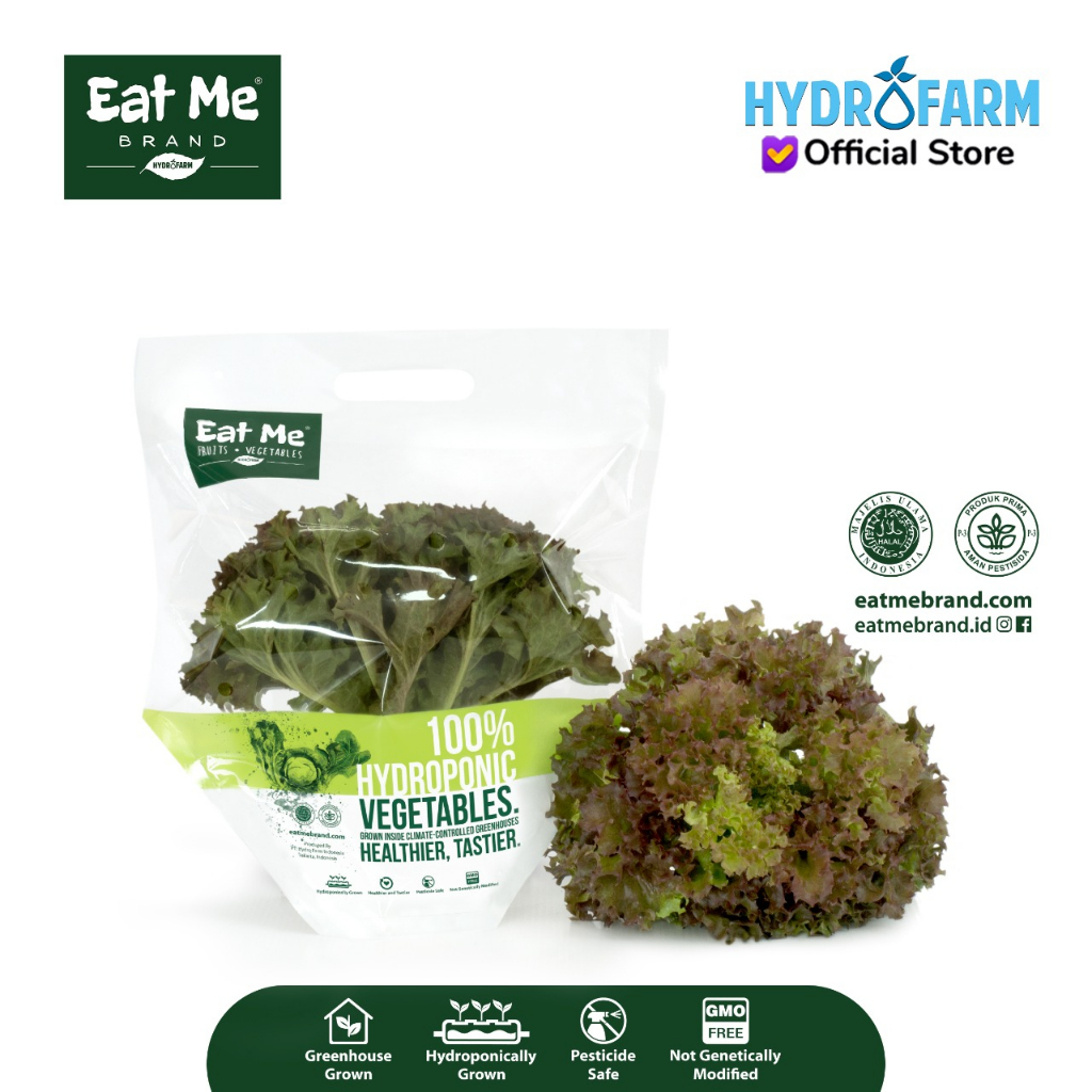 

Eat Me Brand - Sayur Selada Red Lollorossa Lettuce Hidroponik