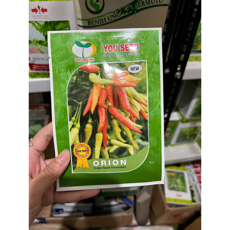 Benih cabe rawit ORION F1 10 gram cabe rawit putih merunduk berdompol hibrida dari you seed cabe raw