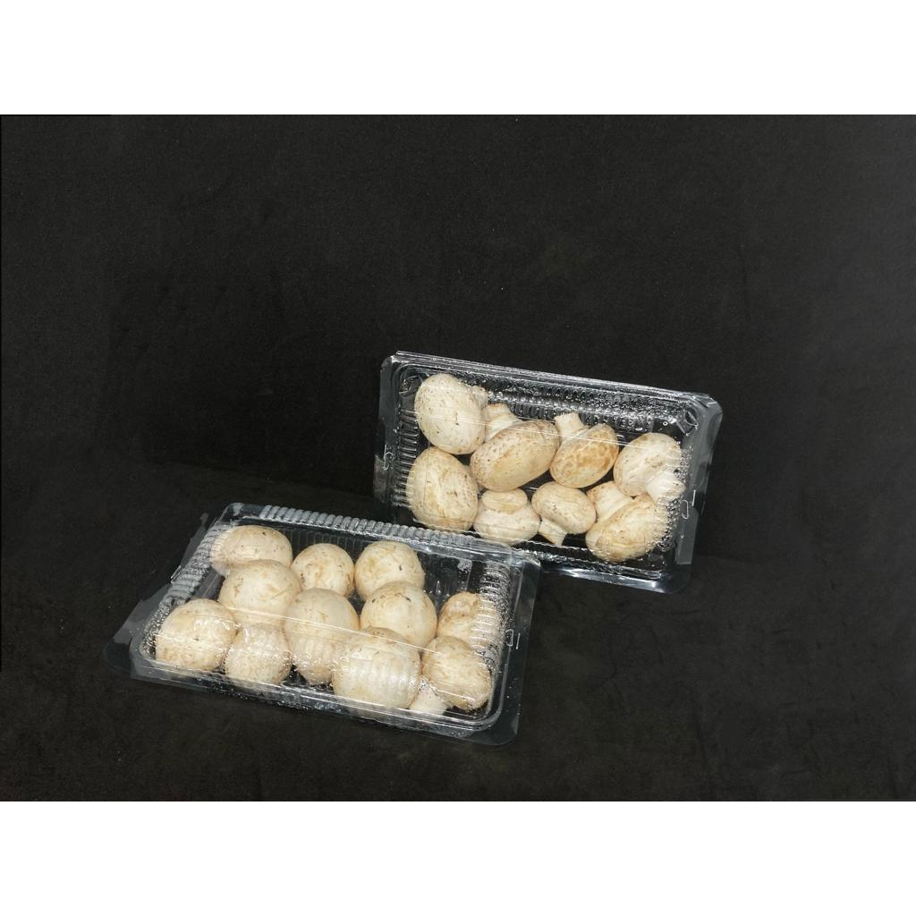 

Jamur kancing segar, jamur champignon, jamur kancing