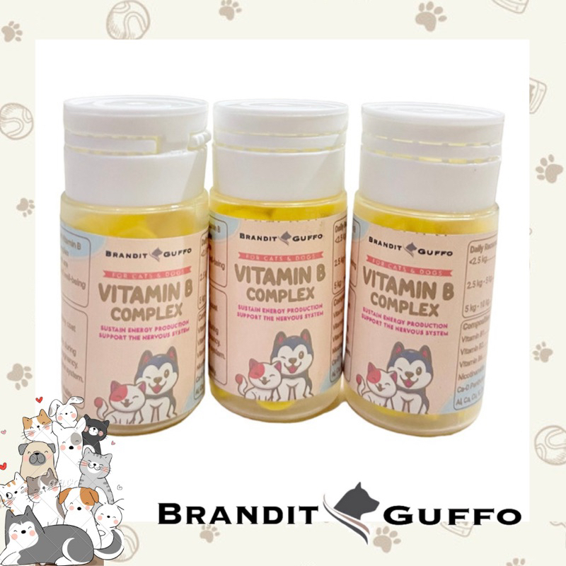 vitamin b complex anjing kucing becomp dog cat untuk imun badan hewan pet mineral