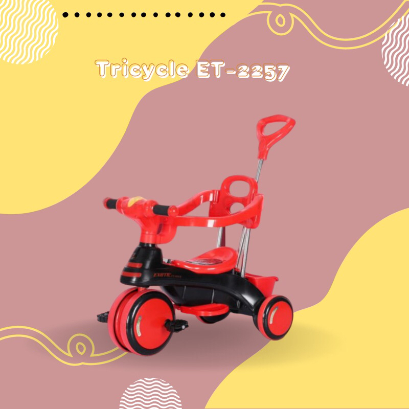 Tricycle Exotic ET-2257