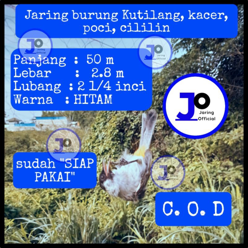 jaring burung kutilang jaring siap pakai jaring burung cucak ijo jebakan burung pentet burung kacer 