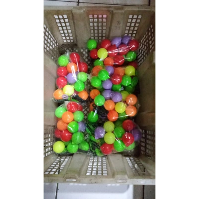 Lato Lato Cerah Lato Lato glosi