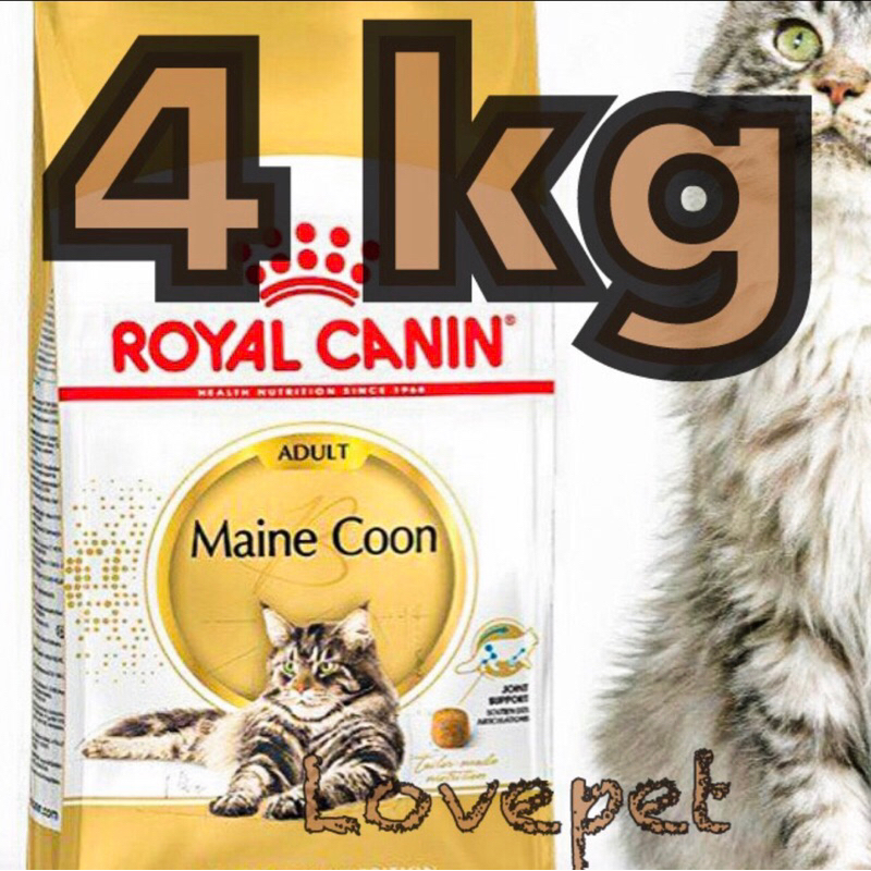 Royal Canin Maine Coon Adult 4kg/ RC mainecoon 4 kg/maincoon