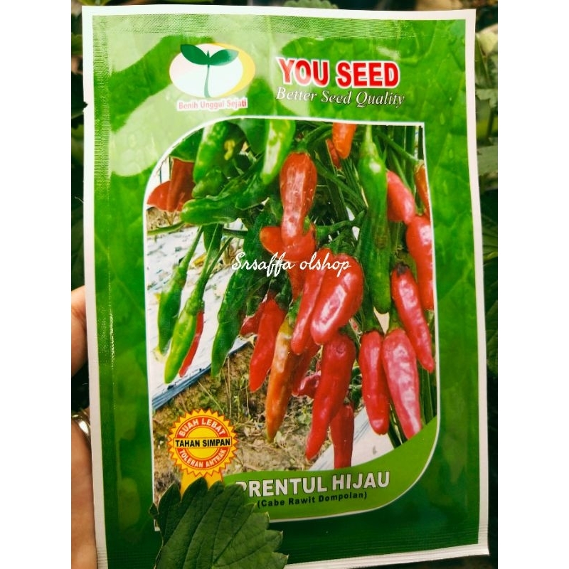 Bibit/Benih Cabe Rawit Dompolan PRENTUL HIJAU 10gr