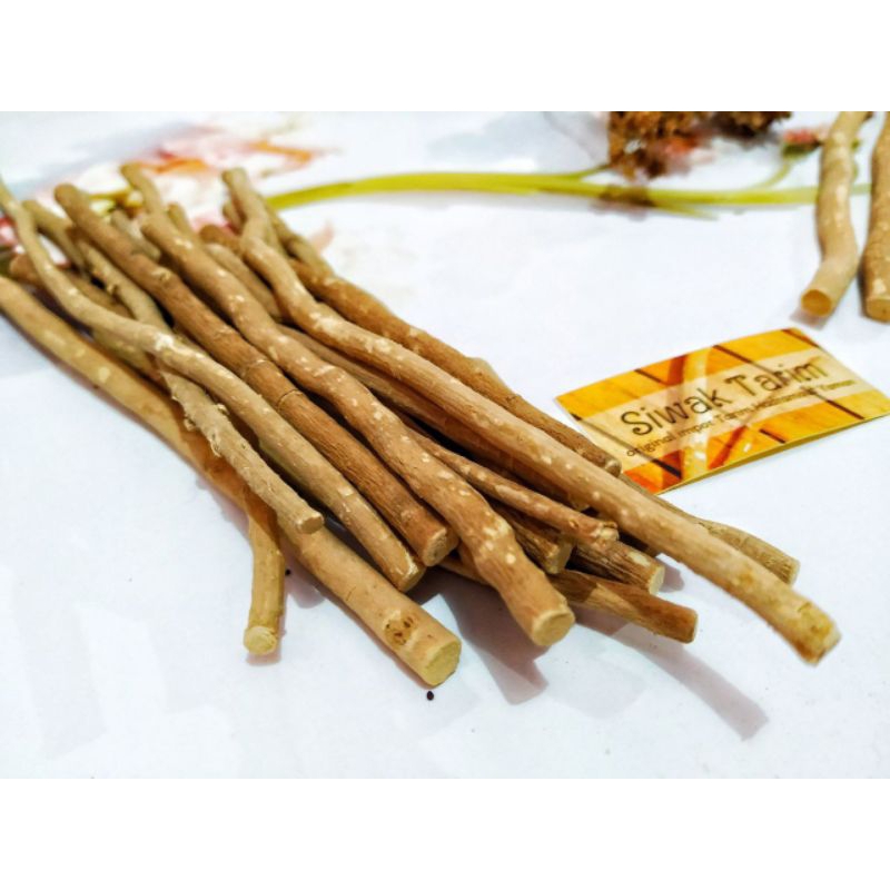 SIWAK TARIM // SIWAK TARIM HADROMAUT YAMAN // SIWAK TARIM HADROMAUT