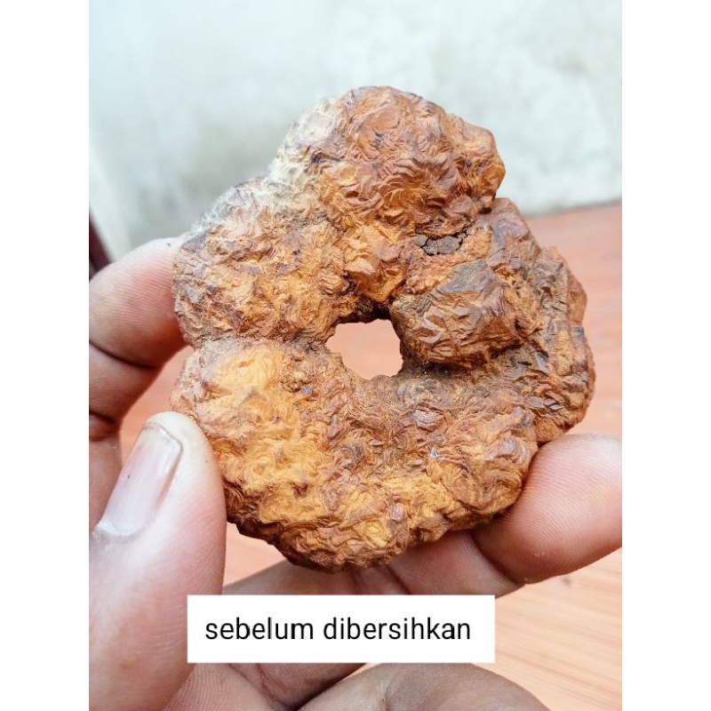 Batu selonatah combong Alami istimewa bagus