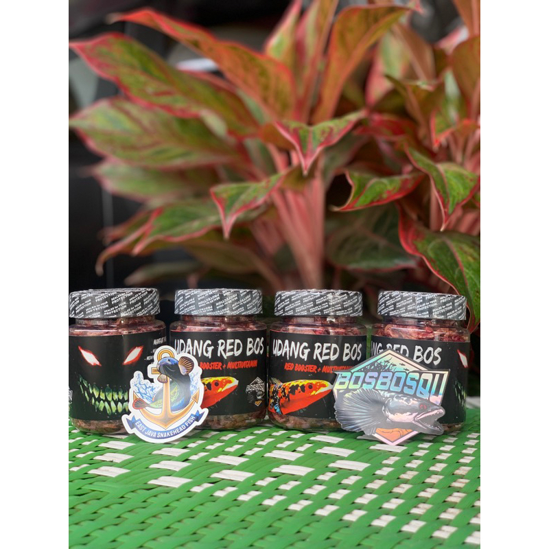 Udang Red Bos-bos Qu