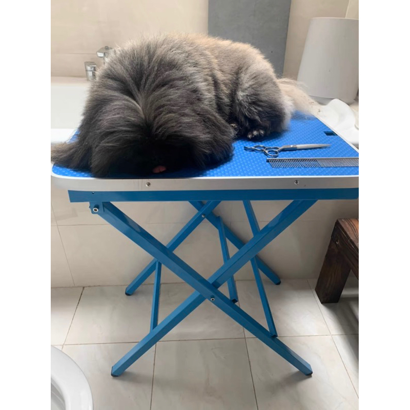 Portable Pet Grooming TABLE